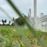 Best Fencing Contractor in Nathakadaiyur